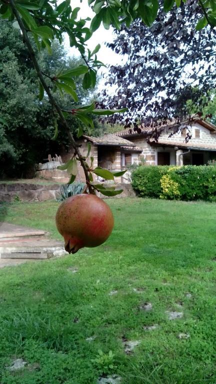 Agriturismo Casale Loreto Bed and Breakfast Corchiano Buitenkant foto